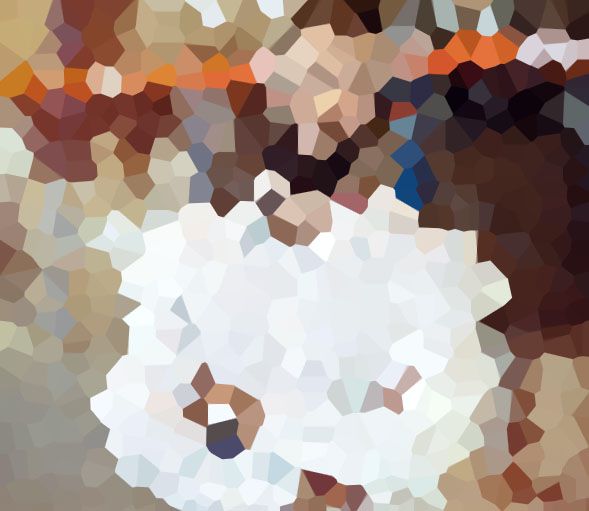 ناوگان حمل و نقل عرشیا ترابر